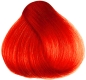 Mobile Preview: UV Felicia Fire Hair Color