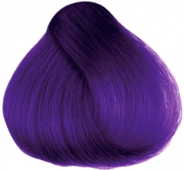 Hermann´s Amazing Patsy Purple
